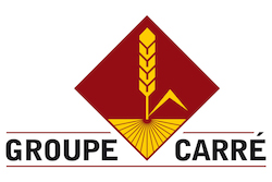 logo-carré.jpeg